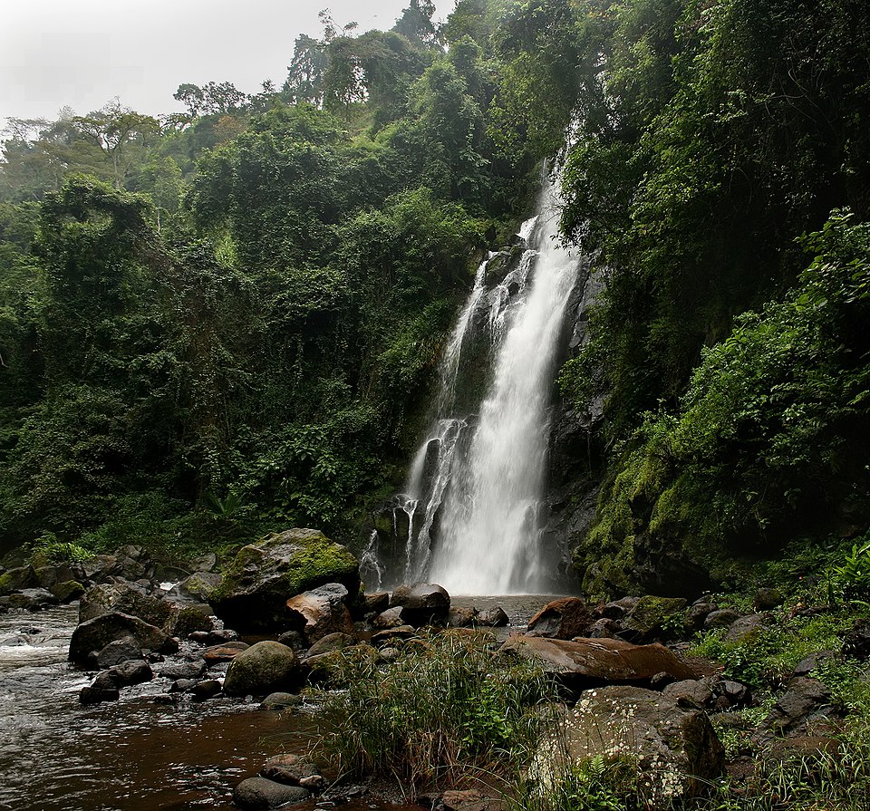 Marangu Waterfalls Day Hike